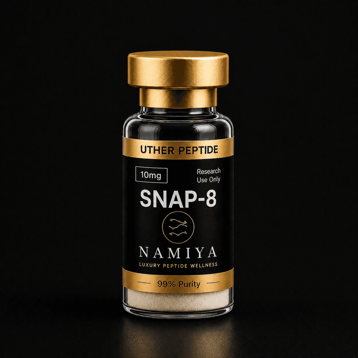 SNAP-8